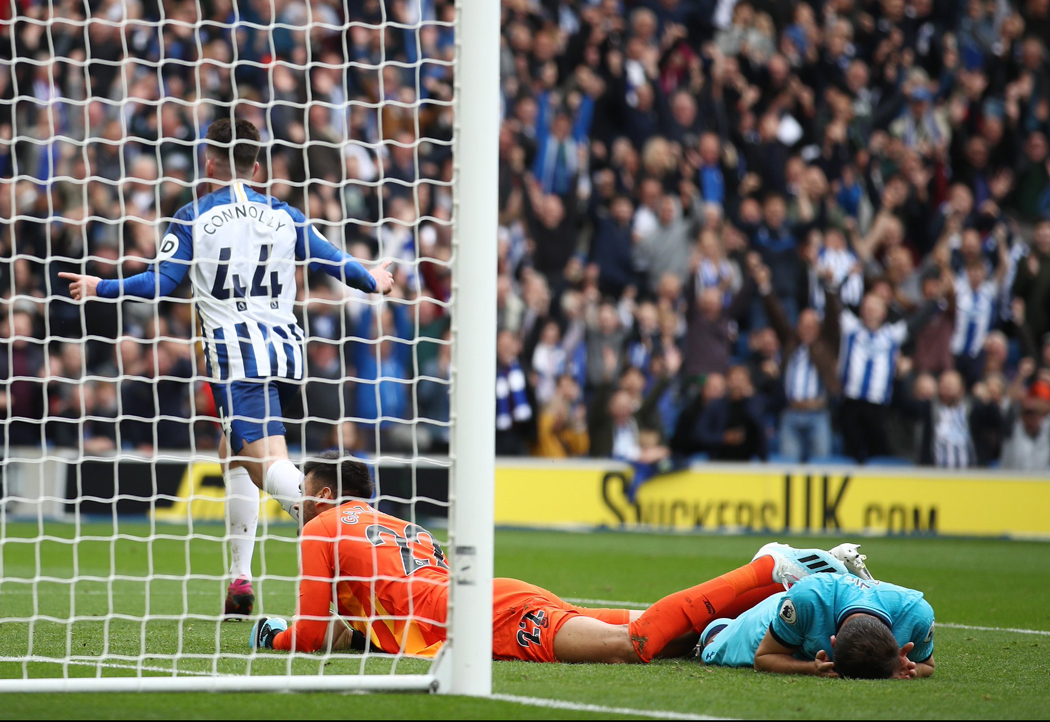 虽然周琦的 虽然周琦的